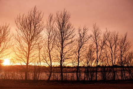 Sunrise behind barenaked tree silhouettes in the fall in a rural environment with fieldsの写真素材