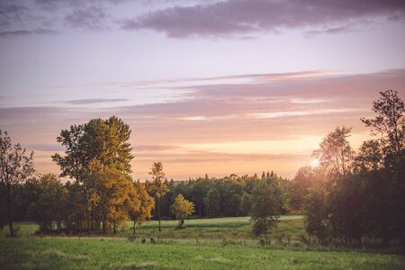 Sunset in a countryside landscape with trees and meadows with a violet light in the sky
