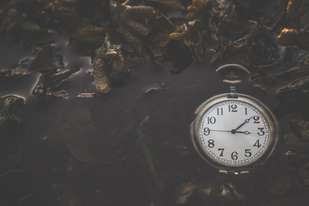 Pocket watch floating in a dark lake with seaweed in the early autumn