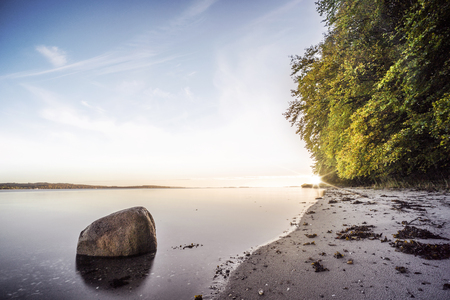 Rock in the calm water on a nordic beach with green treesの写真素材