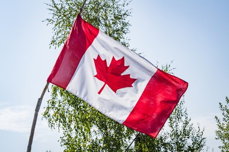 Canadian flag on a wooden stick with trees in the backgroundの写真素材