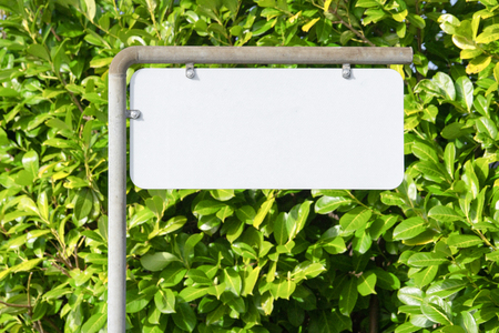 Blank sign on a street with a green bush in the backgroundの写真素材