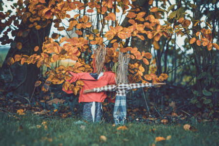Scarecrows in a garden in the fall with autumn leaves hanging aboveの写真素材