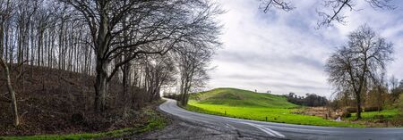 Curvy road in a forest panorama scene in a rural countryside landscape with trees and fieldsの写真素材