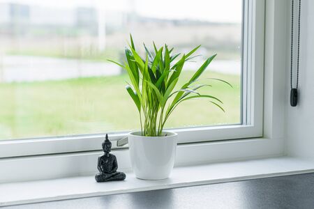 Green plant with a Buddha figure in a window in a bright environmentの写真素材