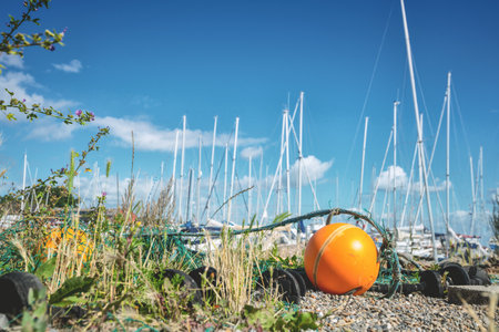 Orange buoye on land in front of a marine harbor in the summer