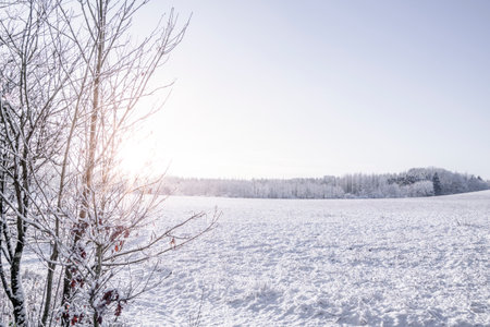 Field covered in snow in a countryside scenery on a bright dayの写真素材