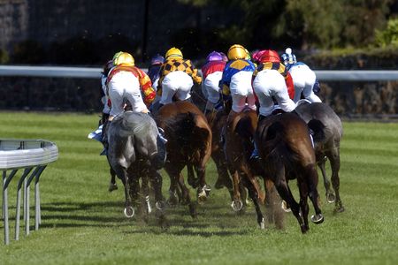 Race horses turn the corner in the race.