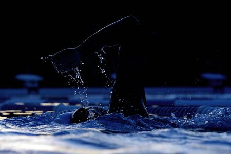 A silhouette of a swimmer swims laps in the pool at dusk.の写真素材