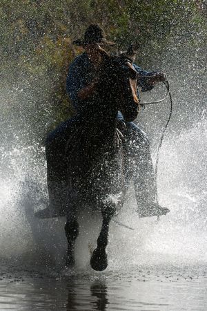 A cowboy runs his horse through a mountain stream.の写真素材