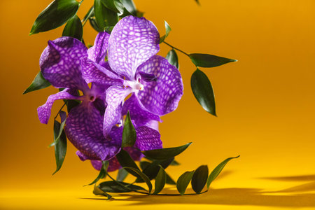 Colorful macro image of an orchid, the tropical flower. Brightly yellow background.の写真素材