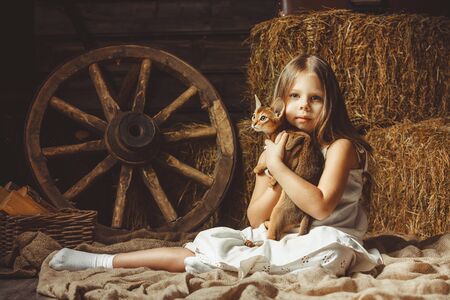 The beautiful girl with a cat about hay. Studio shot.の写真素材