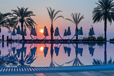 Palm trees and sunrise.の写真素材