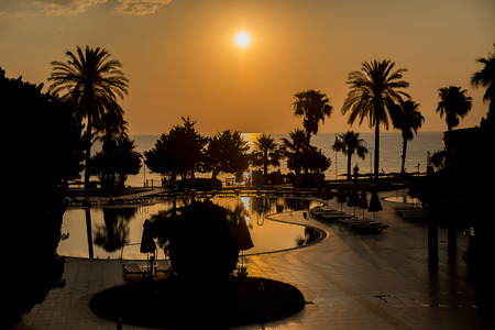 Palm trees and sunrise.の写真素材