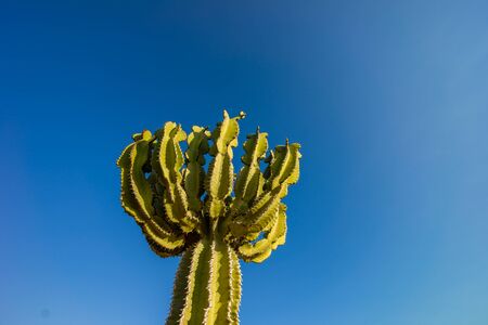 cactus Park in Ayia NAPA, Ciprus.