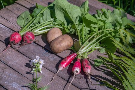 Various vegetables on a wooden table. Potatoes, radishes, onions.の写真素材