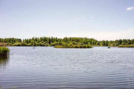 A magnificent landscape with a view of the lake and a beautiful green beach in the background. Russian nature. Beautiful sunny day.の写真素材