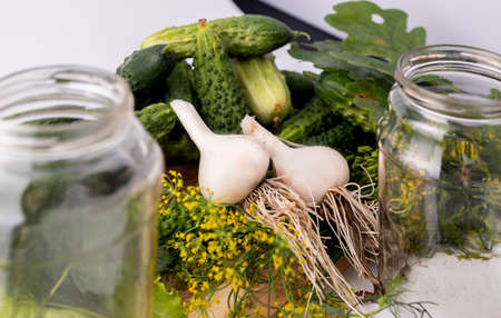 Fresh cucumbers, garlic and herbs. The process of preserving cucumbers.の写真素材