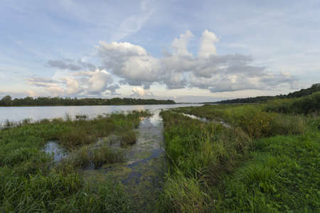 Beautiful evening landscape with a view of the river and the Bank with long grass.