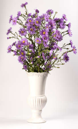 Bouquet of small garden asters in a vase on a white background.の写真素材