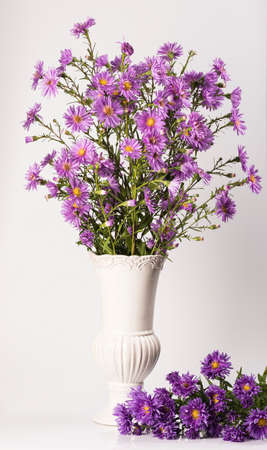 Bouquet of small garden asters in a vase on a white background.の写真素材