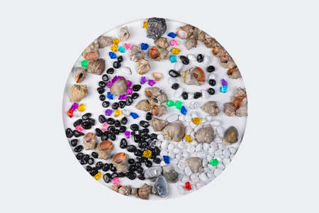 Bright background of their colored stones and seashells. Summer vacation and travel concept.の写真素材