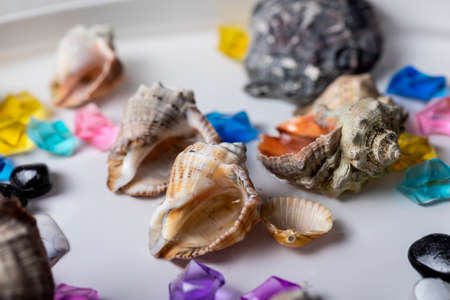 Bright background of their colored stones and seashells. Summer vacation and travel concept.の写真素材