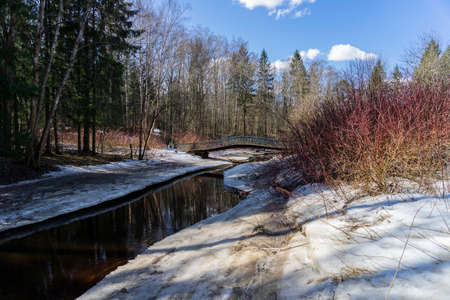 Sunny spring landscape with a river and a bridge in the forest, ice and snow on the shore.の写真素材