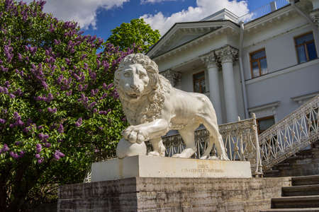 A magnificent landscape with a view of the castle on Elagin Island and the stone lion on the background of blooming lilacs.の写真素材