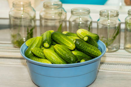 Cucumbers in a bowl are prepared for subsequent preservation in glass jars.の写真素材