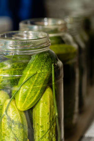 Cucumbers in cans for canning close-up. The chosen focus.の写真素材