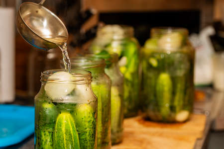 Preparation of canned cucumbers.の写真素材