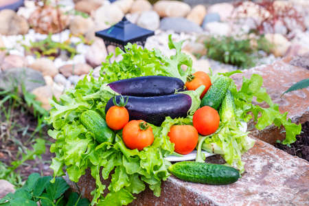 Fresh vegetables are lying on lettuce leaves on the street.の写真素材