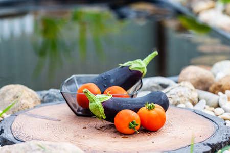 Eggplant and tomatoes with drops of water near a small pond.の写真素材