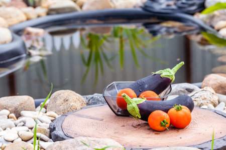 Fresh juicy eggplants and tomatoes on the background of a small pond.の写真素材