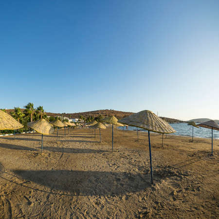 Landscape with a view of a sandy beach with wicker umbrellas and the sea.の写真素材