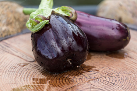 Beautiful mature eggplant with water droplets on a tree stump.の写真素材