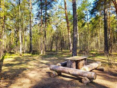 Wooden table in the forestの写真素材