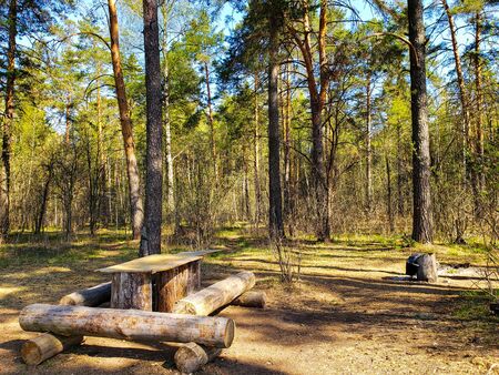 Wooden table in the forestの写真素材