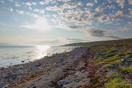 shore of the Arctic Ocean, Sredny peninsulaの写真素材