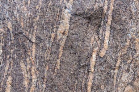 Stone surface. Natural beige Texture stoneの写真素材