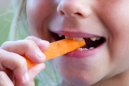 Cute little girl wearing straw hat holding a bunch of fresh organic carrots.の写真素材
