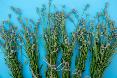 bundle of lavender flowers isolated on backgroundの写真素材