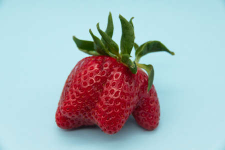 fresh strawberries strange shape. Funny red fruitの写真素材