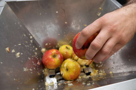 Processing of apples for juice and sidr production.の写真素材