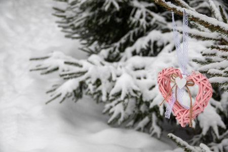 Valentines day red heart Holidays cardの写真素材