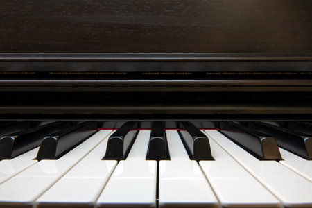 Front view of a jazz pianoの写真素材