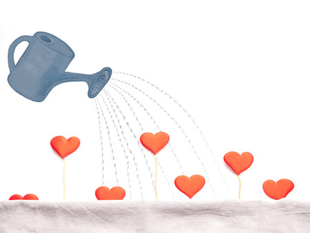 watering can and growing natural valentine heartの写真素材