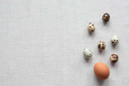 Easter card with eggs in nest over wood. Top view