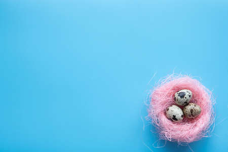 Easter card with eggs in nest over woodの写真素材